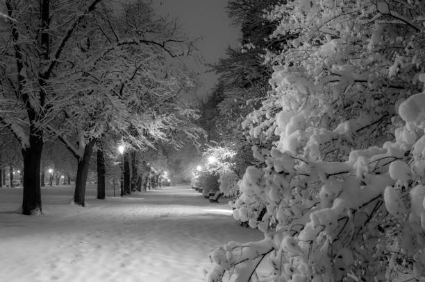 istock Winter city park in evening. 886821470