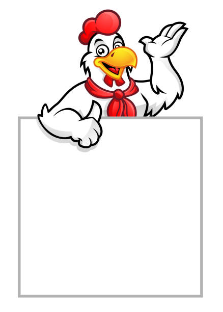 Chicken mascot or Rooster with blank sign Chicken mascot or Rooster with blank sign chicken thumbs up design stock illustrations