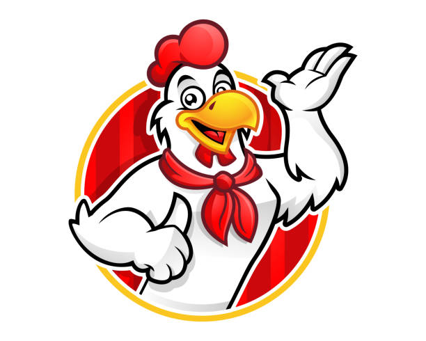 Chicken mascot or chicken character, suitable for restaurant business Chicken mascot or chicken character, suitable for restaurant business chicken thumbs up design stock illustrations