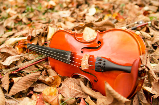 istock Violin instrument on dry autumn leaves. 886858116