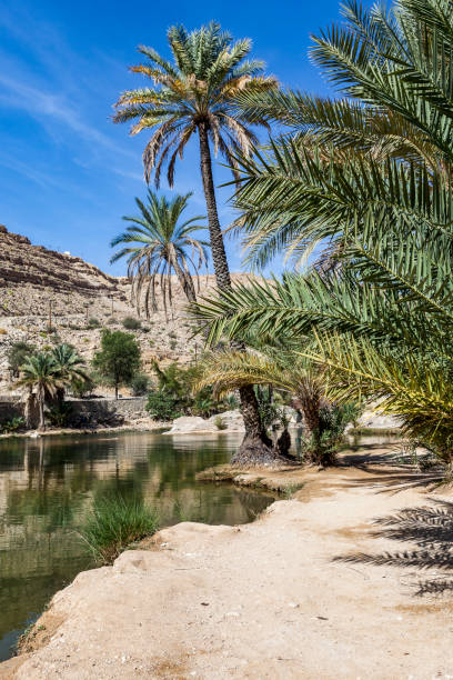 istock wadi bani khalid, ash sharqiyah region, oman 886865262