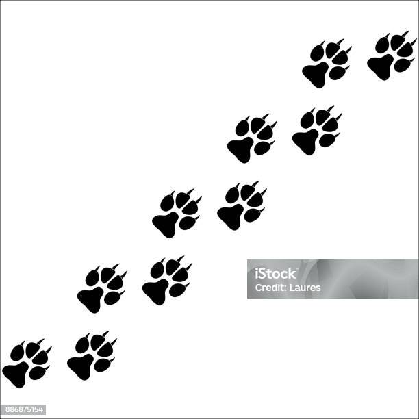 Footprints Of Paws Of An Animal Stock Illustration - Download Image Now - Animal, Footprint, White Background