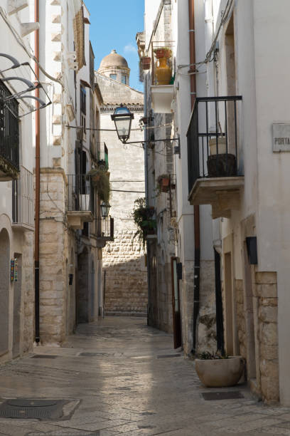 istock Alleyway. Rutigliano. Puglia. Italy. 886875984