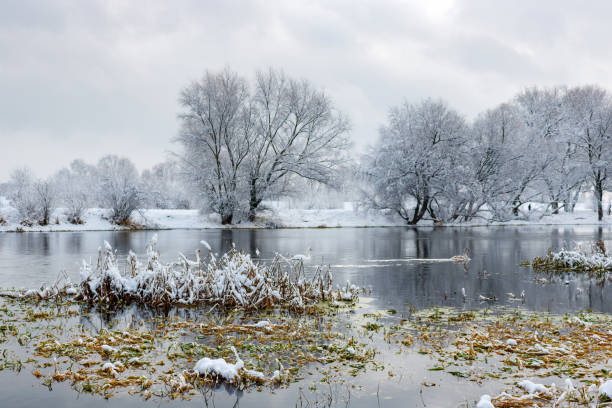 istock River bank after a snowfall on a cloudy winter day. Winter landscape 886878232