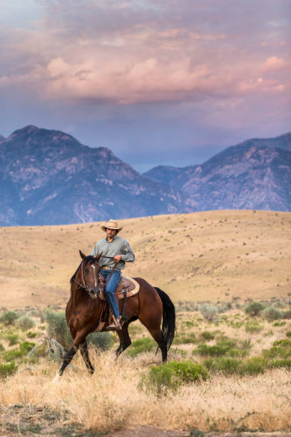 istock Expert Horseman Riding at Twlight 886883668
