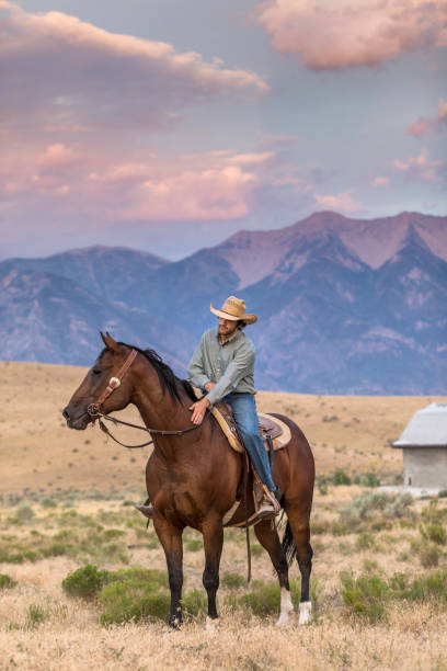 istock Expert Horseman Riding at Twlight 886883956