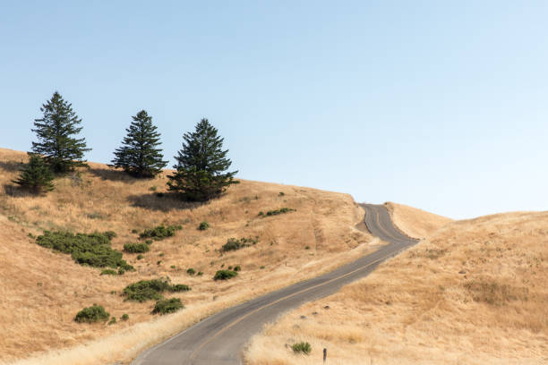 A winding road through an arid grassland