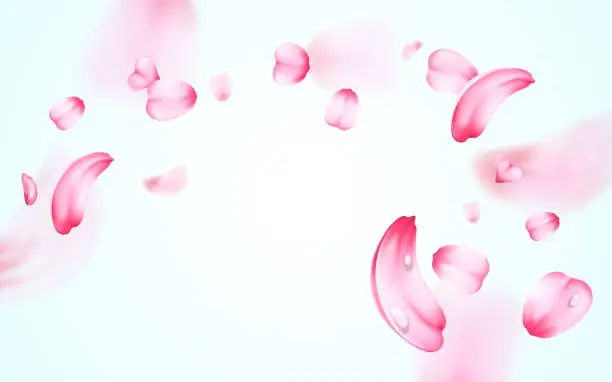 Vector illustration of Pink sakura fresh falling petals with drops of water, dew with blur effect. Vector background. 3D realistic detailed romantic illustration