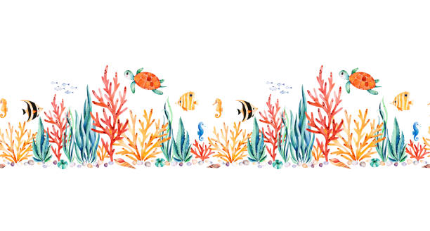 ilustrações de stock, clip art, desenhos animados e ícones de oceanic creature seamless repeat border with cute turtle,seaweed,coral reef,fishes,seahorse - underwater abstract coral seaweed