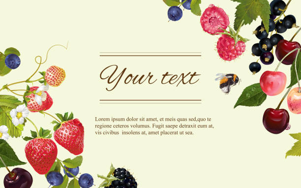 ягодный хоризинфальный баннер - tea berry currant fruit stock illustrations