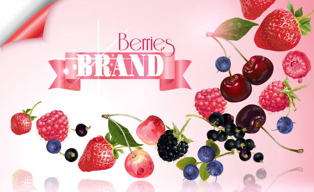 ilustraciones, imágenes clip art, dibujos animados e iconos de stock de berry mix caída bandera - blackberry blueberry raspberry fruit