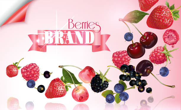 berry mix spadający baner - berry fruit currant dessert vector stock illustrations