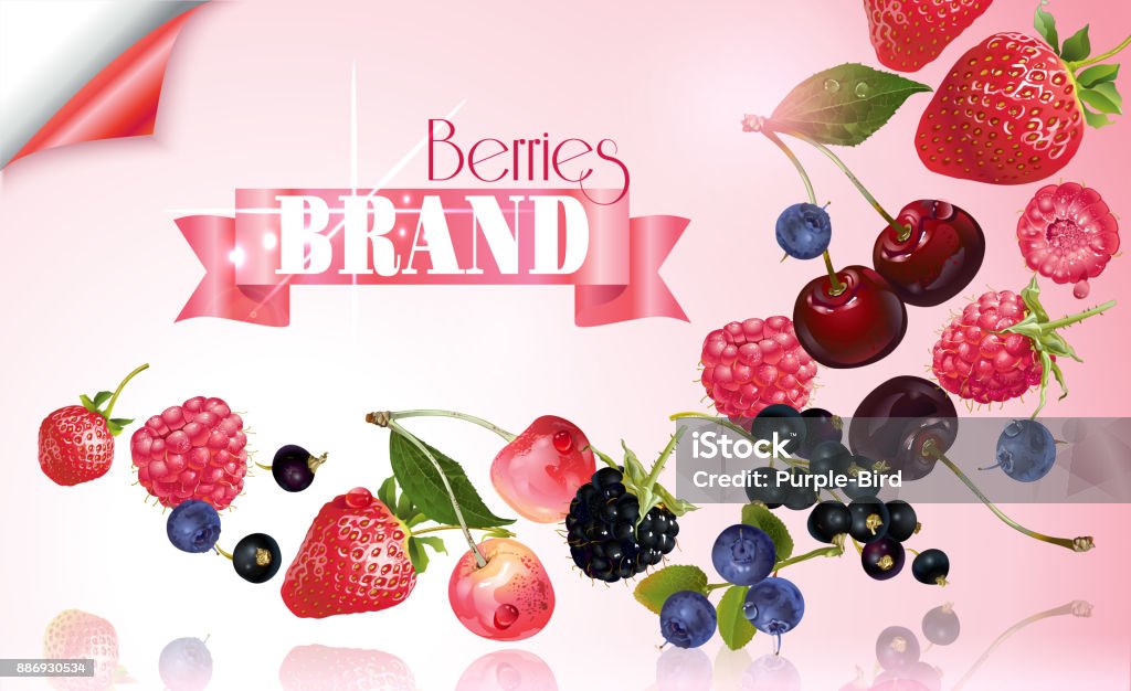 Berry mix falling banner Vector fruit banner with mix of falling berries on pink background with ribbon. Design for natural cosmetics, yogurt, dessert menu, sweets and pastries filled with berries, health care products. Blackberry - Fruit stock vector