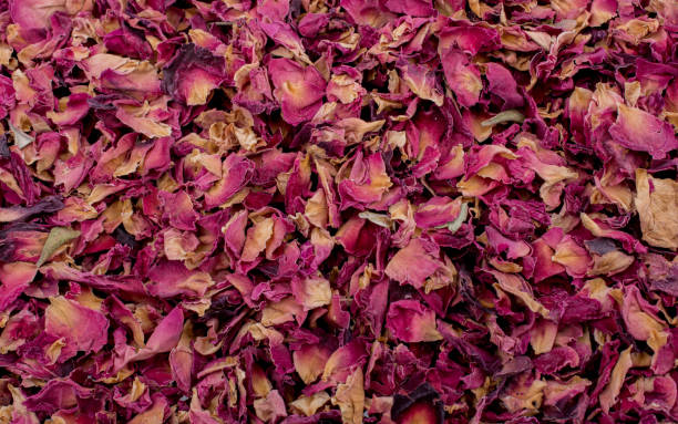 istock Background of dried  rose petals 886933976