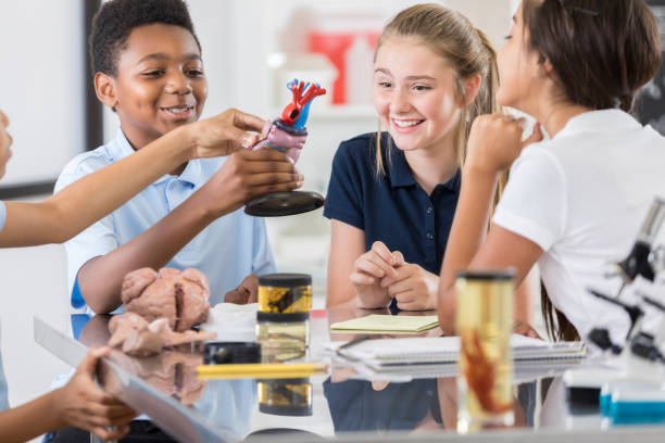 istock Group of STEM students work together during biology lab 886935072