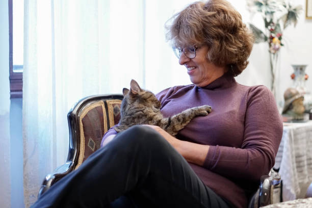 istock Senior woman with cat at home 886942198