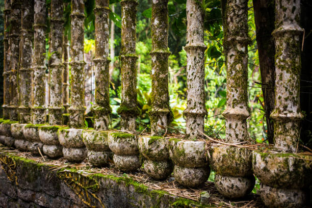istock Xilitla ruins in Mexico 886942358