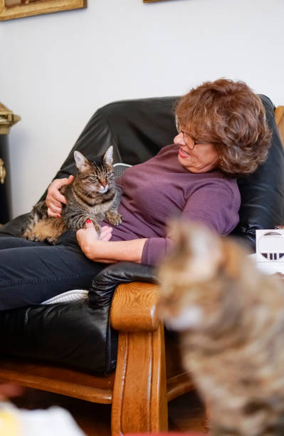 istock Senior woman with cat at home 886942572