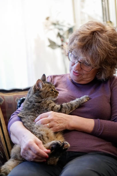 istock Senior woman with cat at home 886942768