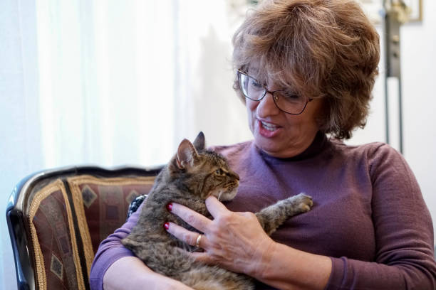 istock Senior woman with cat at home 886945422