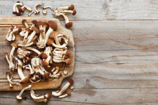 istock Agrocybe aegerita mushrooms (Pioppino) 886946678