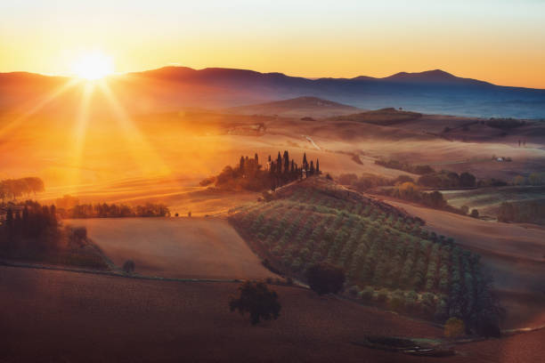 tuscany, panoramic landscape with famous farmhouse rolling hills and valleys in beautiful golden morning light at sunrise in summer, val d'orcia, italy - val tuscany cypress tree italy imagens e fotografias de stock