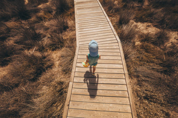 istock On my way to the beach 886963700