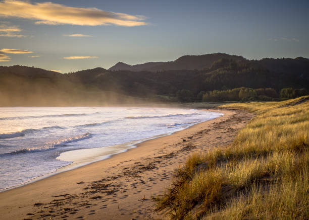 Ocean waves on the beach at Waikawau Bay New Zealand Sunrise over the Ocean Waves on the beach of Waikawau Bay Beach New Zealand coromandel peninsula stock pictures, royalty-free photos & images