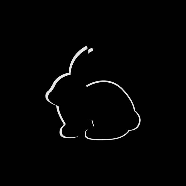 istock Vector icon with silhouette of rabbit. black bunny with white contour isolated on black background. Easter bunny. Flat design 886974836