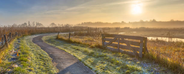Track in misty agricultural landscape