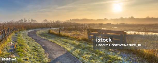 Track In Misty Agricultural Landscape Stock Photo - Download Image Now - Winter, Farm, Rural Scene