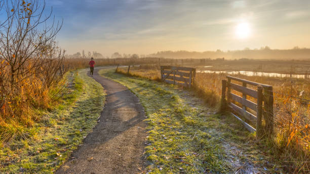 istock Recreation track in misty autumnal polder 886981554