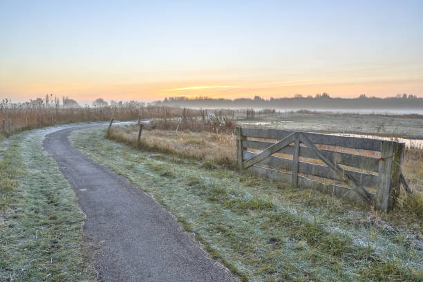 istock Misty agricultural polder landscape 886981606