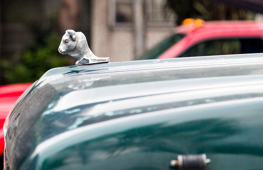 A Buffalo Bison Hood ornament on a car in Mexico City