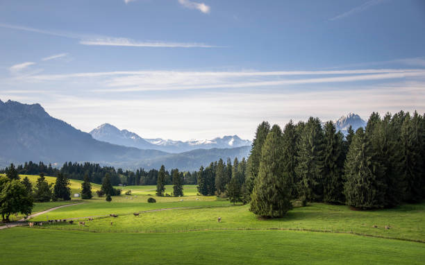 istock Landscape of green pasture land 886984160