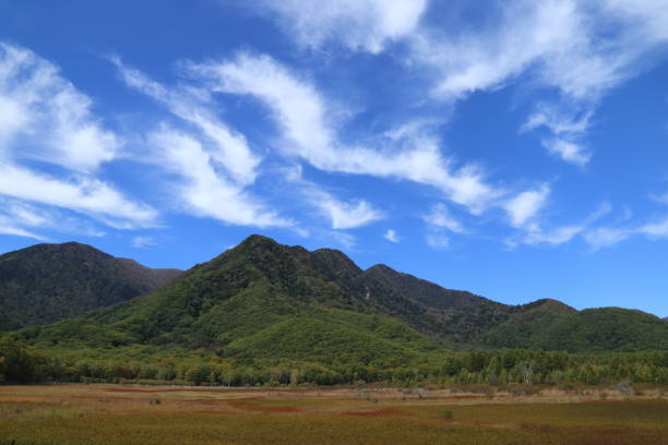 марш одаширогахара в оку-никко, префектура тотиги, япония - nikko asia japan natural landmark стоковые фото и изображения