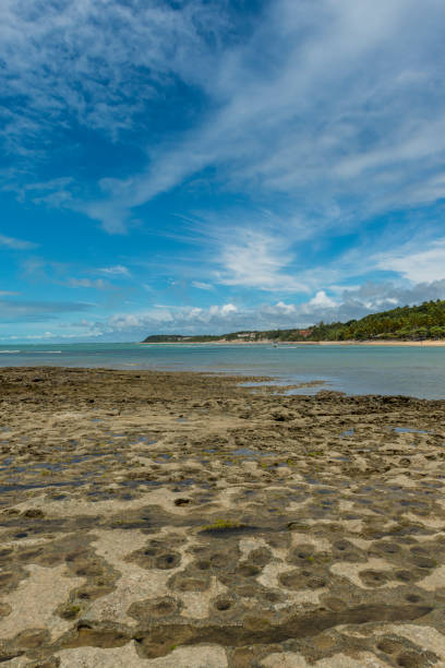 istock Praia do Espelho, Porto Seguro (Bahia - Brazil) 886999856