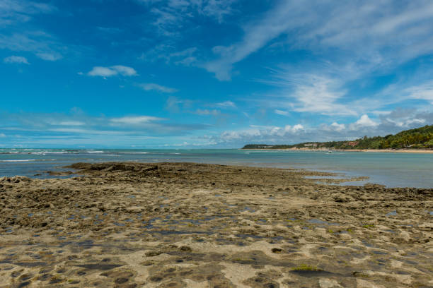 istock Praia do Espelho, Porto Seguro (Bahia - Brazil) 886999976