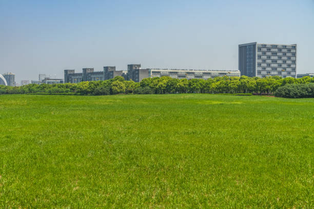 istock Buildings and green lawn 887000040