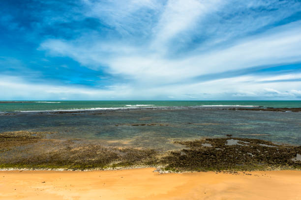 istock Praia do Espelho, Porto Seguro (Bahia - Brazil) 887018206