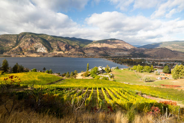 istock Skaha Lake Penticton Vineyard 887035056