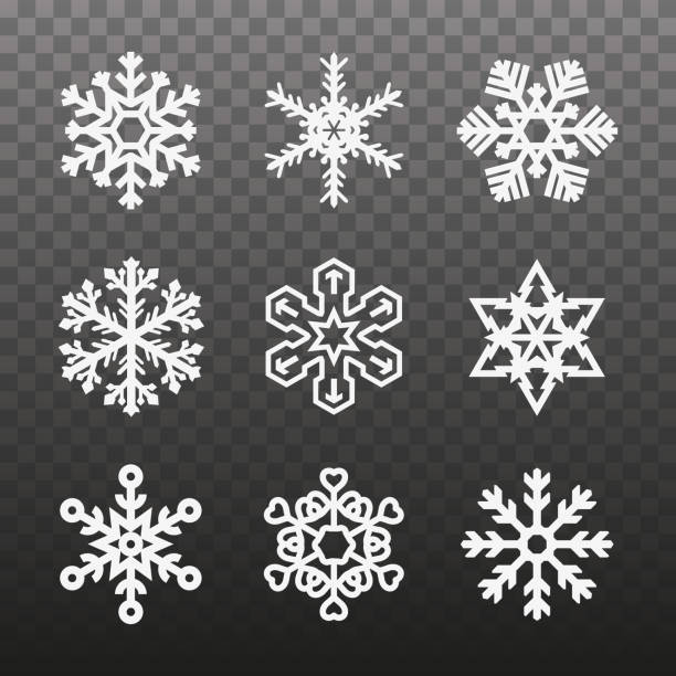 illustrazioni stock, clip art, cartoni animati e icone di tendenza di diversi tipi di fiocchi di neve. fiocchi di neve di forme diverse su uno sfondo trasparente a plaid. illustrazione vettoriale - backgrounds pill white background capsule