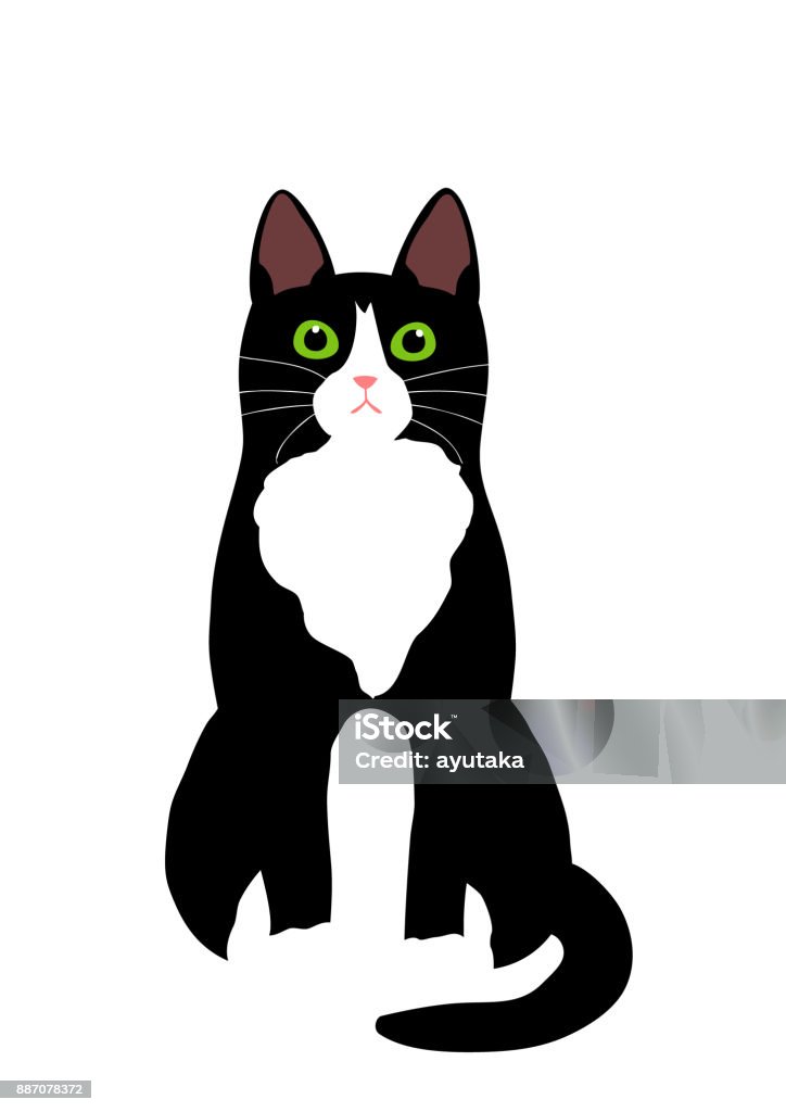 tuxedo cat sitting tuxedo cat sitting. Domestic Cat stock vector