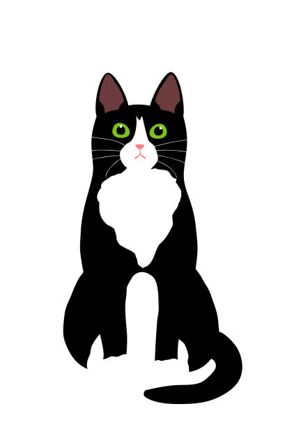 tuxedo cat sitting tuxedo cat sitting. tuxedo cat stock illustrations