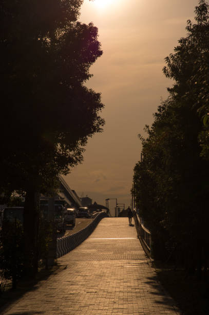 Tokyo daiba city