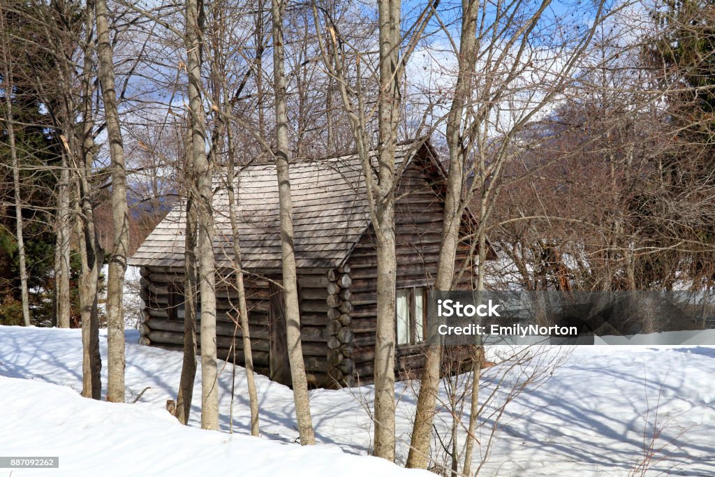 Cabine en bois - Photo de Arbre libre de droits