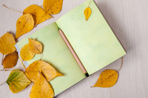 istock Open book on the table, pencil and autumn leaves 887108950