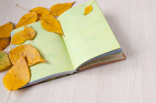istock Open green book on the table and autumn leaves 887109078