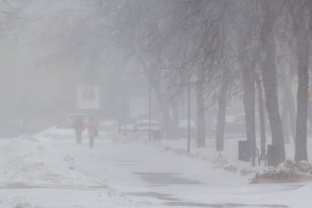 istock A strong blizzard in the city 887113936