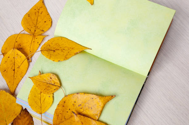 Open green book on the table and autumn leaves